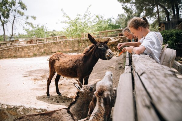 Zoo de Jurques : comment bien préparer votre visite ?